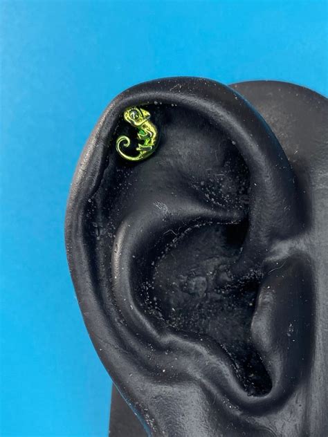 crazy chameleons|chameleon piercing.